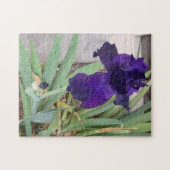 Paarse Iris Legpuzzel (Horizontaal)