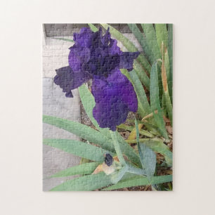 Paarse Iris Legpuzzel