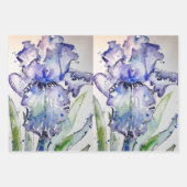 Paarse Iris maakt bloemen Waterverf schilderkunst Inpakpapier Vel (Voorkant)