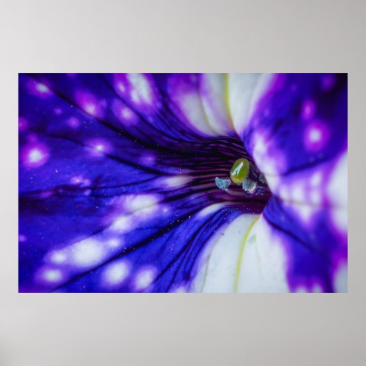 Paarse Iris Macro – Levendig Bloemendetail Kunst Poster (Voorkant)