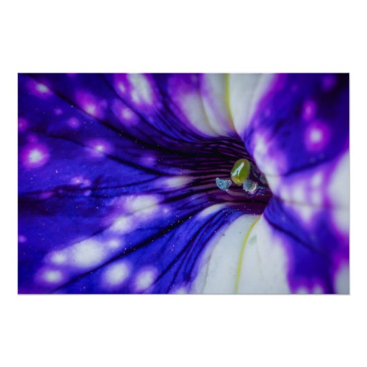 Paarse Iris Macro – Levendige Nabijopname Bloemkun Perfect Poster (Voorkant)