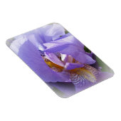 paarse iris magneet (Rechterzijde)