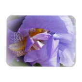 paarse iris magneet (Horizontaal)