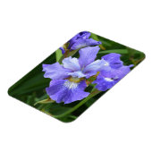 Paarse iris magneet (Linkerzijde)