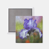 Paarse Iris Magneet (Voorkant / Achterkant)