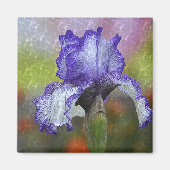 Paarse Iris Magneet (Voorkant)