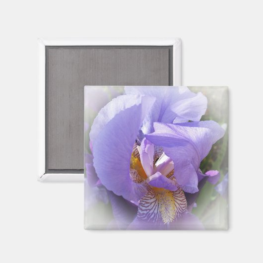 paarse iris magneet (Voorkant / Achterkant)