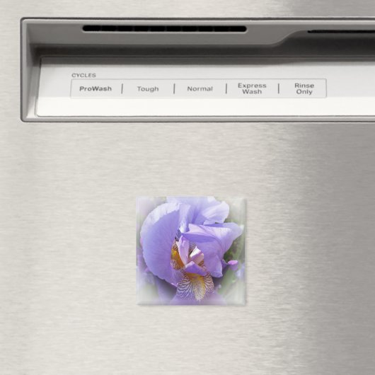 paarse iris magneet (Insitu (Vaatwasser))