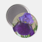 Paarse Iris Magneet (Voorkant / Achterkant)