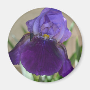 Paarse Iris Magneet