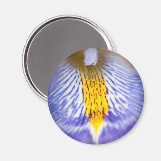 Paarse Iris Magneet (Voorkant / Achterkant)