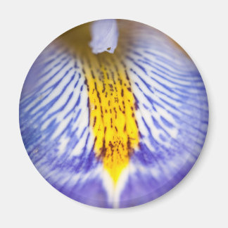 Paarse Iris Magneet