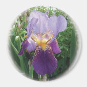 Paarse Iris Magneet (Voorkant)