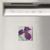 Paarse Iris Magneet (Insitu (Vaatwasser))