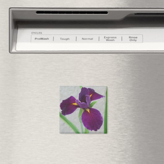 Paarse Iris Magneet (Insitu (Vaatwasser))