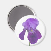 Paarse Iris Magnet (Voorkant / Achterkant)