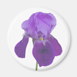 Paarse Iris Magnet