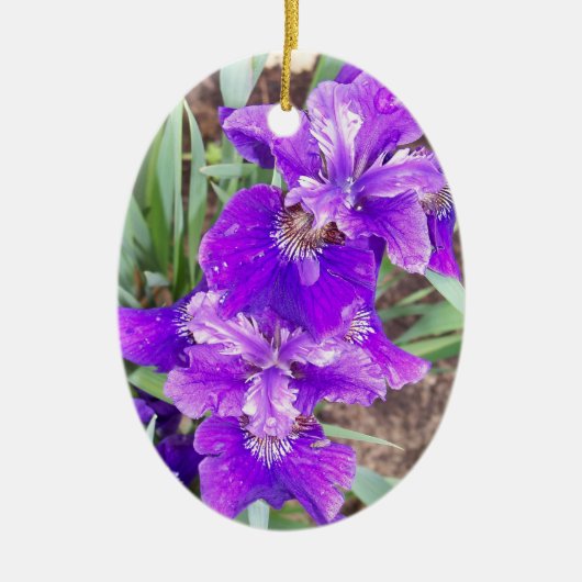 Paarse iris met waterdruppelaar keramisch ornament (Voorkant)