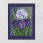 Paarse Iris Mini Collectible Prints Briefkaart (Voorkant)