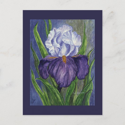 Paarse Iris Mini Collectible Prints Briefkaart (Voorkant)