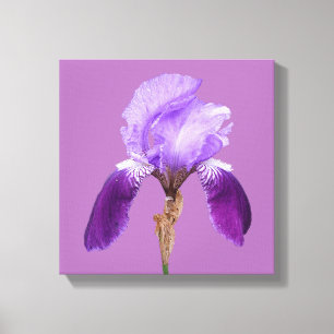 paarse iris moderne bloemenkunst canvas afdruk