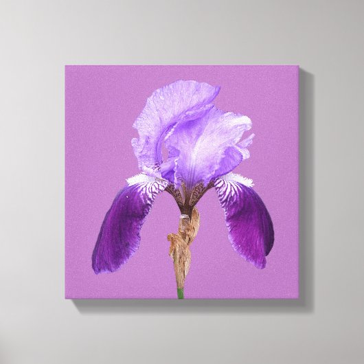 paarse iris moderne bloemenkunst canvas afdruk (Voorkant)