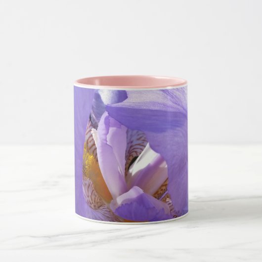paarse iris mok (Midden)
