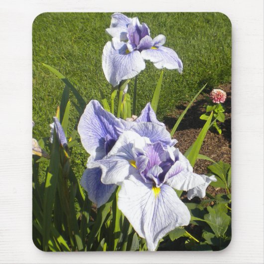 Paarse Iris Mousepad Muismat (Voorkant)