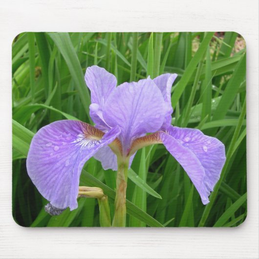 Paarse Iris Muismat (Voorkant)