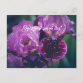 Paarse iris na regen briefkaart (Voorkant)
