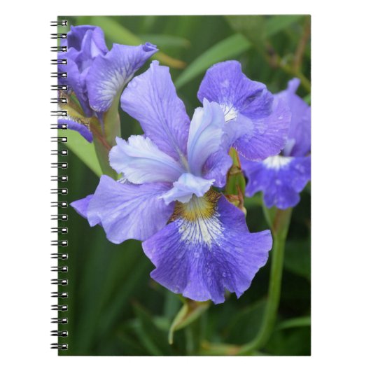 Paarse iris notitieboek (Voorkant)