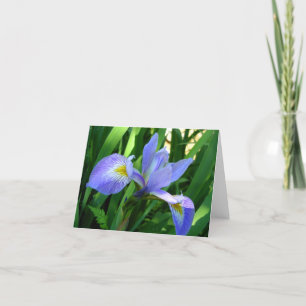 Paarse Iris Notitiekaart