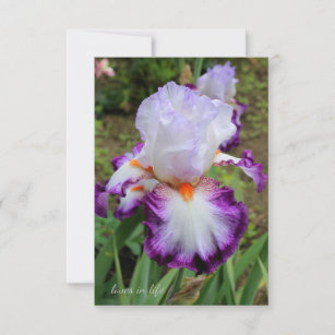 Paarse iris notitiekaartje