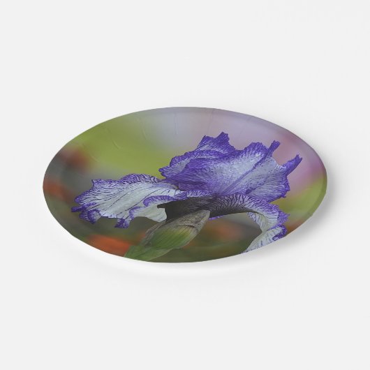  Paarse Iris Papieren Bordje (Gekanteld)