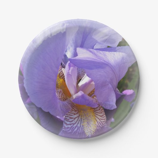 paarse iris papieren bordje (Voorkant)