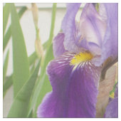 Paarse iris patroon stof (Close Up)