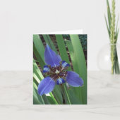 Paarse Iris Photo Folded Note Kaart (Voorkant)