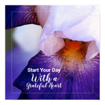 Paarse Iris Photo Grateful Heart Quote
