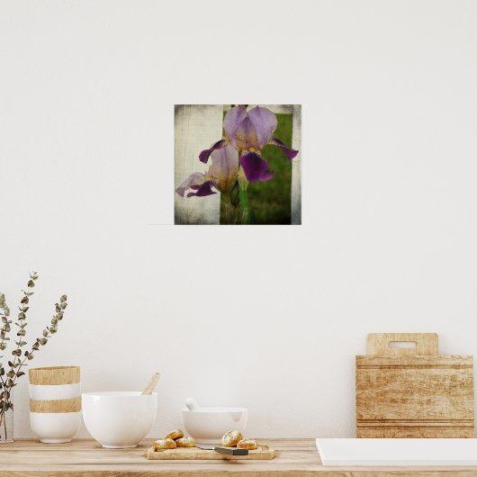 Paarse Iris Poster (Keuken)