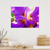 Paarse Iris Poster (Keuken)