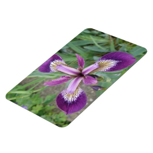 Paarse Iris Premium Magnet Magneet (Linkerzijde)