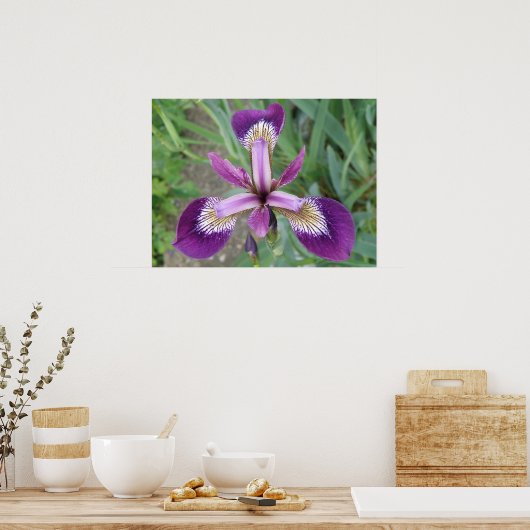 Paarse Iris Print (Keuken)