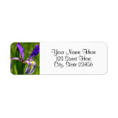 Paarse Iris Return Address Labels (Voorkant)