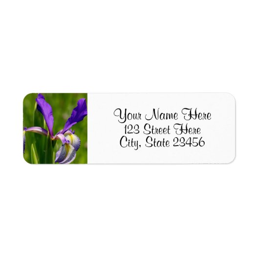 Paarse Iris Return Address Labels (Voorkant)