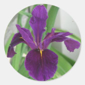 Paarse Iris Ronde Sticker (Voorkant)