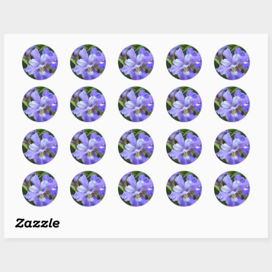 Paarse iris ronde sticker (Vel)