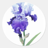 paarse iris ronde sticker (Voorkant)