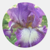 Paarse Iris Ronde Sticker (Voorkant)