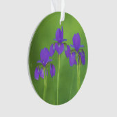Paarse Iris Schilderij - Originele Bloem Kunst Ornament (voorkant)