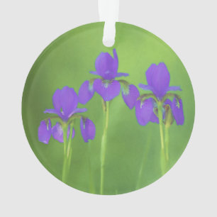 Paarse Iris Schilderij - Originele Bloem Kunst Ornament